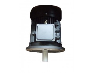 Burner motor - 3